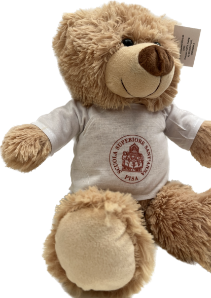 MASCOTTE ORSETTO PELUCHE - immagine 2