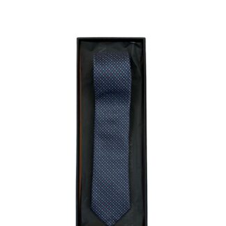 CRAVATTA ERMENEGILDO ZEGNA BLU POIS